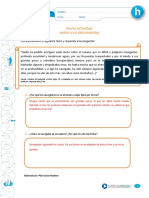 Articles-26922 Recurso Pauta PDF