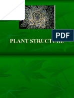 Plant Tissue Structures Explained