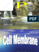 Download cell membrane by ramadan SN52053095 doc pdf
