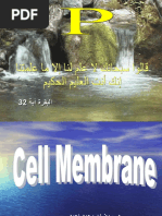 Download cell membrane by ramadan SN52053095 doc pdf