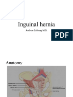 Surgery Review 2016 - Inguinal Hernia
