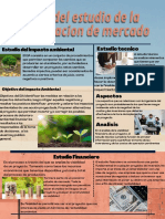 Avance Del Estudio de La Investigacion de Mercado - Daniela Quirós 12 A1 Ciencias!