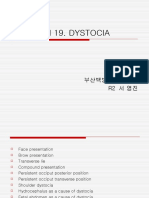CH 19. Dystocia