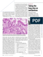 Taking The Long View On Metabolism