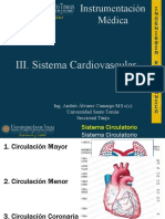 Sistema Cardiovascular