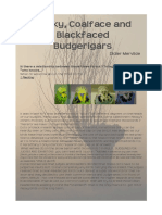 Flecky, Coalface and Blackfaced Budgerigars: Didier Mervilde