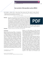 Original Article Stability of Quinoa Flour Proteins (Chenopodium Quinoa Willd.) During Storage