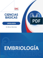 Fijas Anatomía - Embriología - Urología