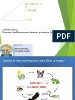 2p - Guía de Trabajo en Casa 10. Ciencias Naturales. CADENA ALIMENTARIA O TRÓFICA