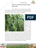 07. Influencia Del Nitrogeno en La AbsorcIon Del Fosforo Potasio y Azufre en El Cultivo de Maiz
