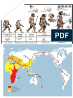 Evolución humana desde Australopithecus a Homo sapiens