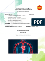 Actividad Grupal 4 Enfermedades Patológicas Del Sistema Circulatorio