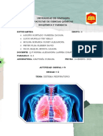 Actividad Grupal 5 Enfermedades Patológicas Del Sistema Respiratorio