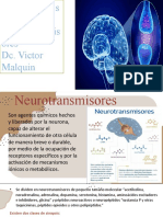 Presentacion-Neurotransmisores