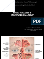 Anatomia de Fosas Nasales y Senos Maxilares