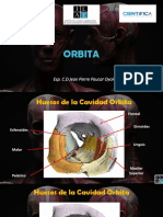 Orbita Imagenes