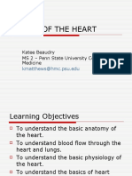Basics of Heart Anatomy and Function