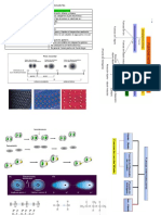 Guia de Enlaces Quimicos Decimo