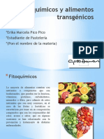 Fitoquimicos y Alimentos Transgénicos