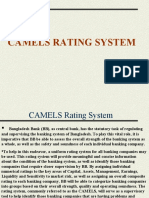 CAMELS RATING SYSTEM ASSESSES BANK STRENGTH