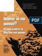 Queimar ou não queimar na Amazônia