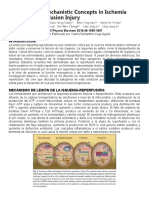 Current Mechanistic Concepts in Ischemia and Reperfusion Injury