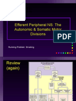 Chapter 11 Efferent Division