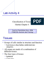 Lab Activity 4: Classification of Tissues Martini Chapter 4
