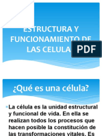 Estructura y Funcionamiento de Las Celulas