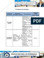 Cronograma Actividades