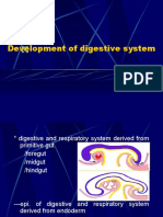 2 Development of Digestive System