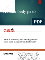 Human Body Parts