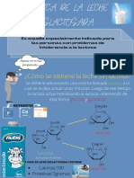 Química de La Leche Deslactosada