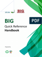 BIG Quick Reference Handbook (1)