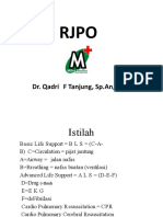 Rjpo 1