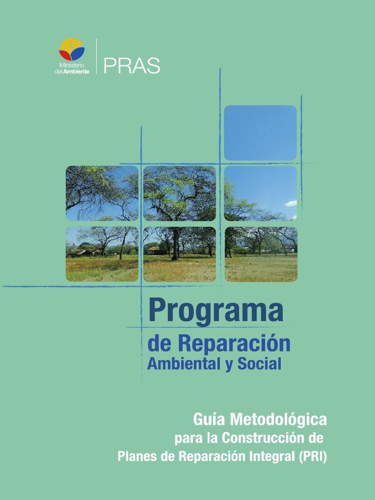 Guía para Planes de Reparación Integral | PDF | Diseño | Evaluación