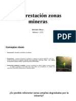 Reforestación zonas mineras