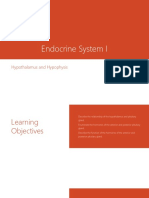 Hypothalamus and Hypophysis