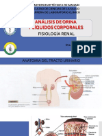 Análisis de orina y pruebas de la función renal