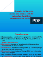 Gene Transfer in Bacteria, Plants and Animal Cells by Natural and Artificial Transformation Methods