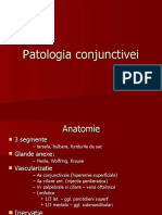 Patologia Conjunctivei