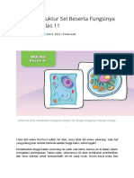 Biologi 29-07-2021