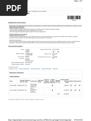 Expense Report