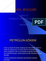 Petrol 3