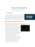 Malic Acid Fermentation