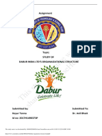 Dabur Organiztion Structure Final PDF