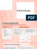 Herramienta Embriologia