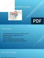 Liquido Cefalorraquideo (LCR)