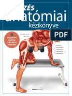 Prof. dr. Ken Ashwell: Az edzés anatómiai kézikönyve