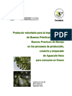 Protocolo Voluntario Para La Implementacion de Buenas Practicas Agricolas y Buenas Practicas de Manejo en Los Procesos de Produccion Cosecha y Empacado de Aguacate Hass Para